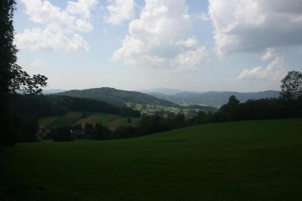 Ferienhaus Toso Freyung Exterior foto
